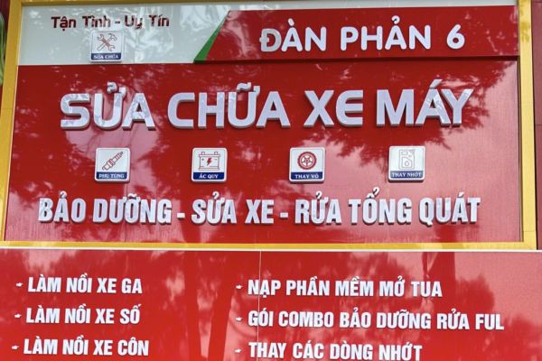 Chi Nhánh 6